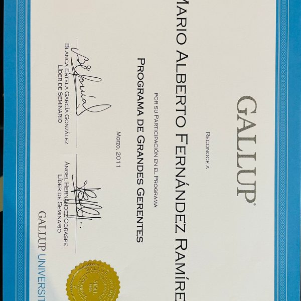 Programa Grandes Gerentes - Gallup University
